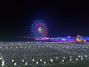 現(xiàn)代科技賦能燈光展 打造沉浸式展覽新紀元